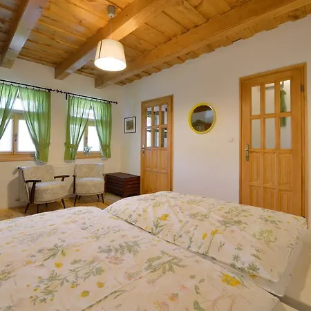 Zsalya Vendeghaz Guest house *