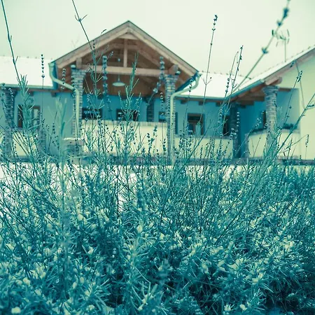 Zsalya Vendeghaz *